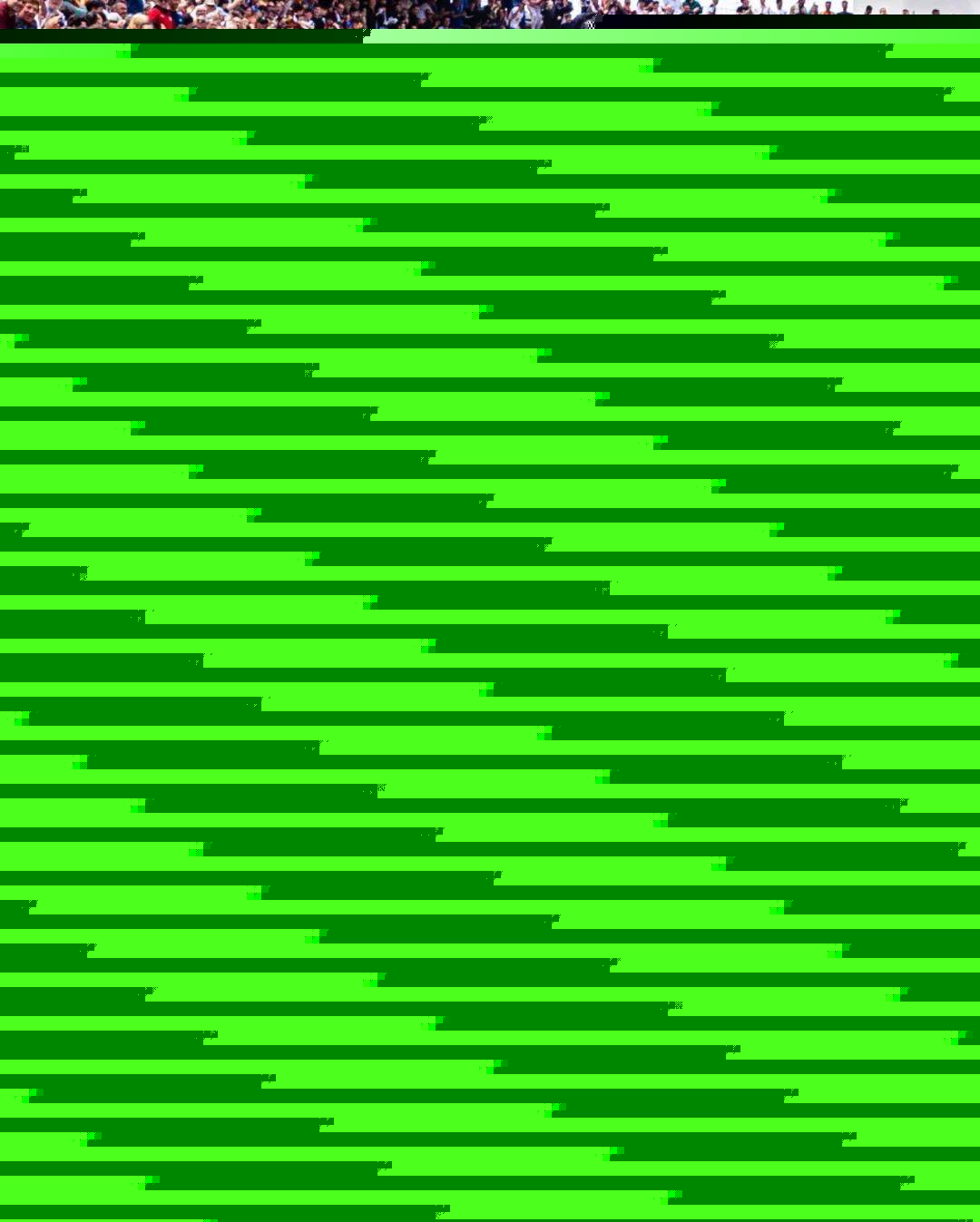种进攻
